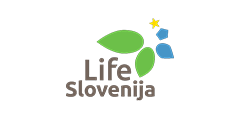 Univerza v Ljubljani
